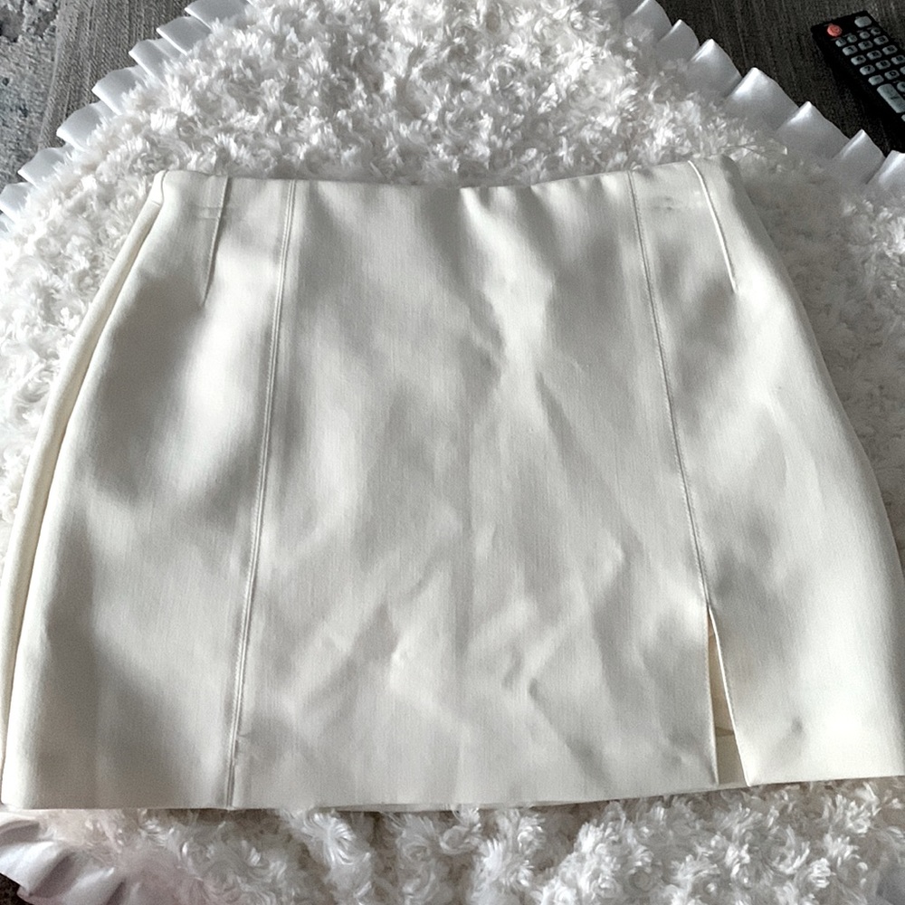 NWT Zara skirt